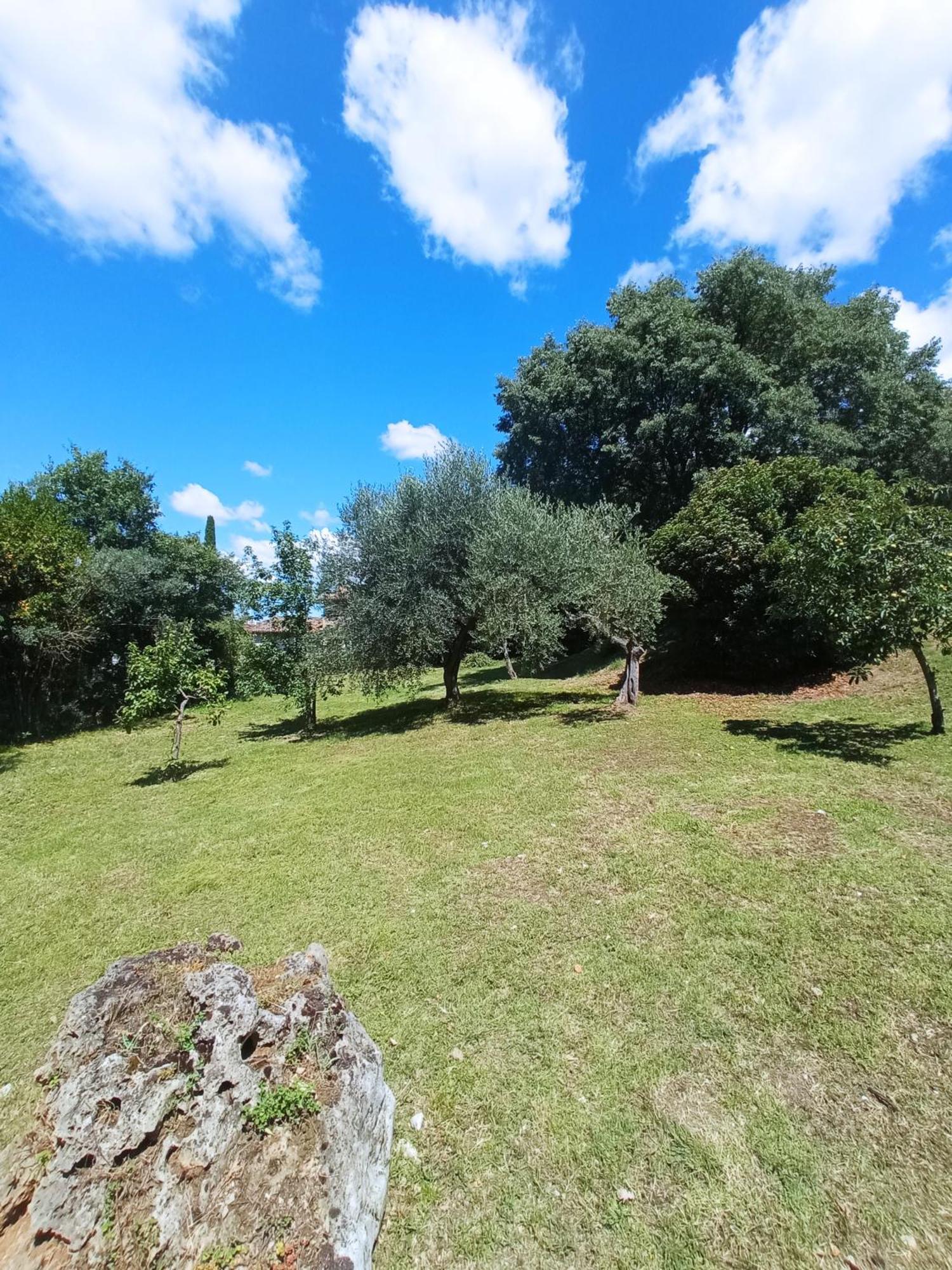 All'Ombra Di San Damiano Ассизи Экстерьер фото