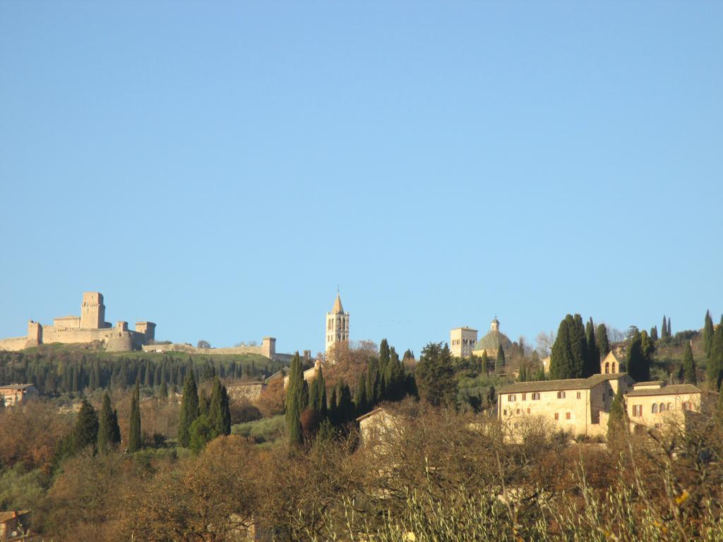 All'Ombra Di San Damiano Ассизи Экстерьер фото